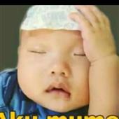Gấu