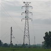 Nữ
