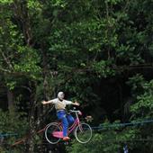Tại