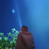 Nữ 
