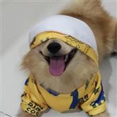 Soi