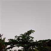 Thế