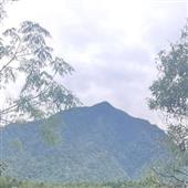 Tỷ 