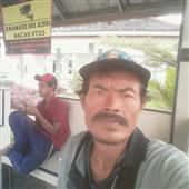 Bản