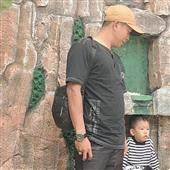 Giả