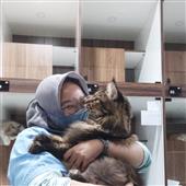 Trự