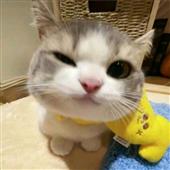 Rou