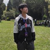 Giả