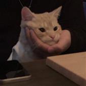 Cha