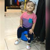 Gấu