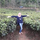 Giả