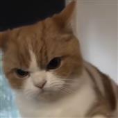 Mar