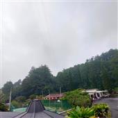 Siê