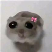 Mua