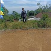 Chú