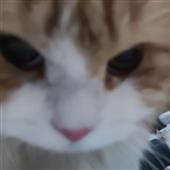 ĐƯỜ