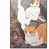 Giả