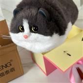 Lịc