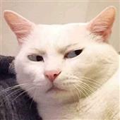 Cờ 