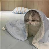chú