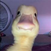 Goo