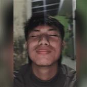 Giả