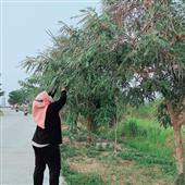 RỒN
