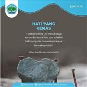 Xem