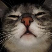 Các