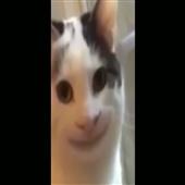 PHÚ