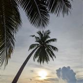 Vòn