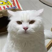 Thầ