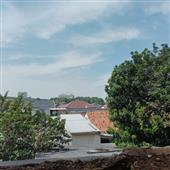 Cuộ