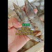 Nhậ
