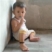Wil