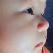 Lịc