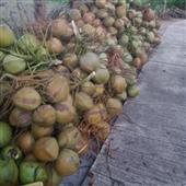 Bắt