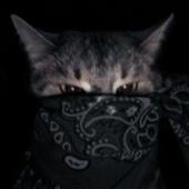 Vũ