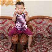 Mẹo
