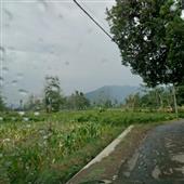 Kẻ 