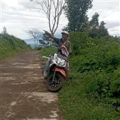 Voo