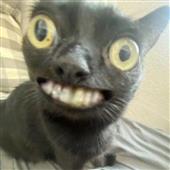 Các