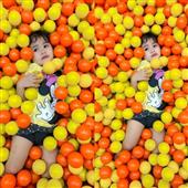 Bản