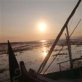 Cuộ