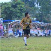 Wol