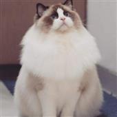 EM 