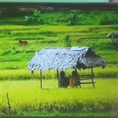 Kết