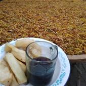 Vàn