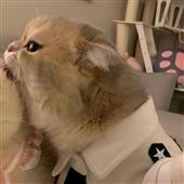 Khu