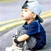 Gấu